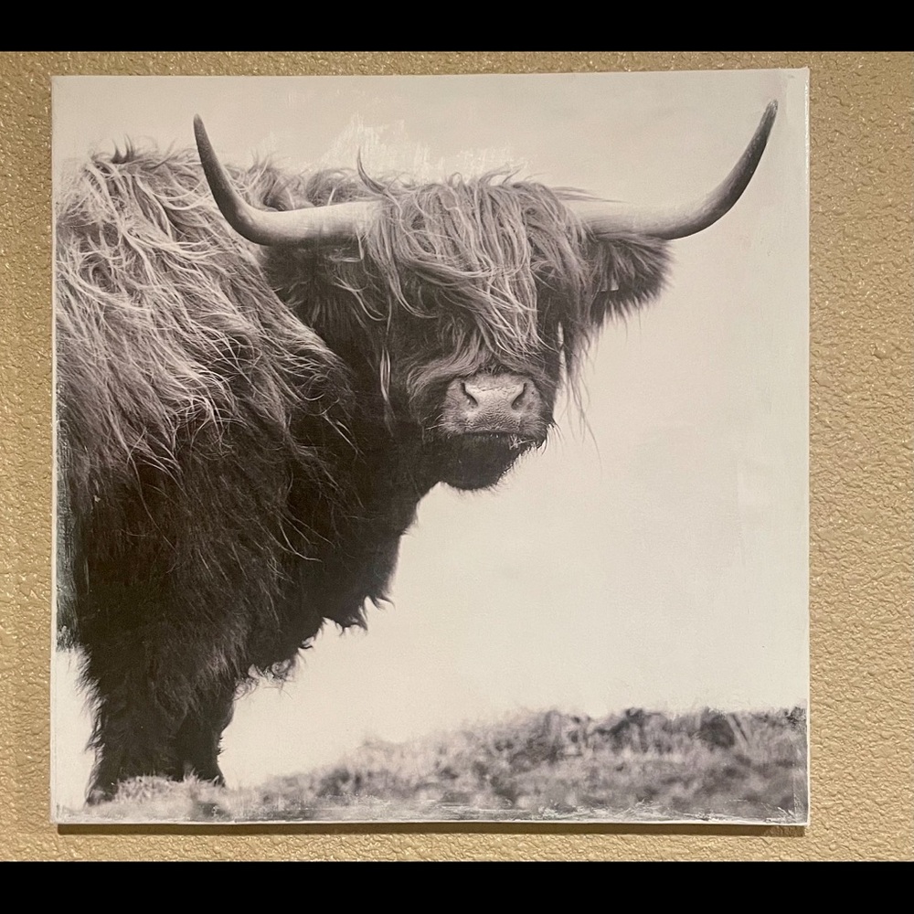 12x12 canvas picture.